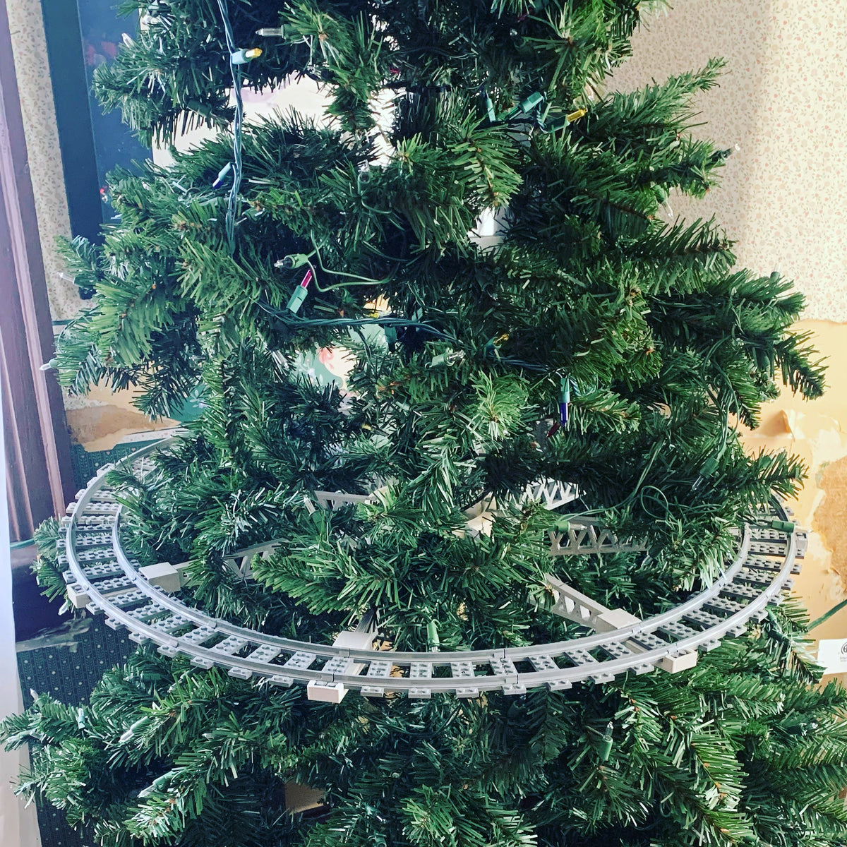 Christmas Tree Rings